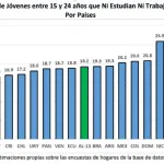 ninis porcentaje