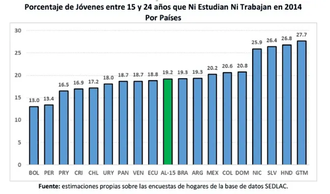 ninis porcentaje