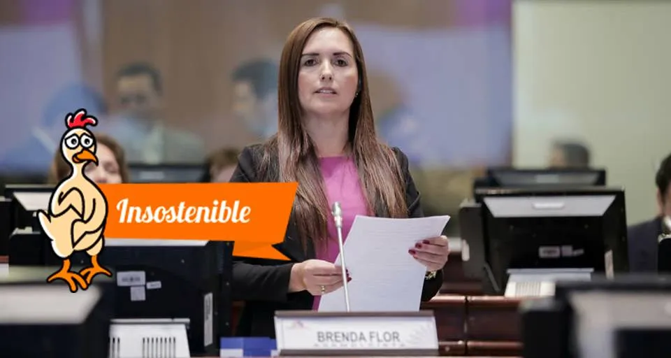 La Asambleísta de AP durante la sesión 482