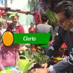 falconi nota ue cotopaxi