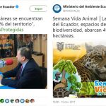 ambiente areas julio noviembre