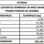 maiz sembrado perimer periodo 2017