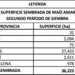maiz sembrado segundo periodo 2017