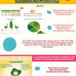 trabajo-de-la-p_31009076