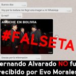 FALSETA Alvarado redes