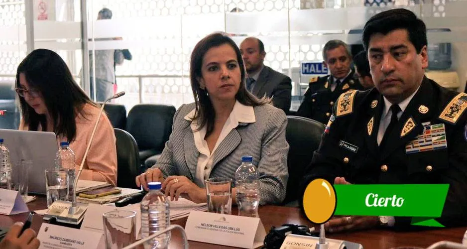 Romo se refiere a la eliminación del Cpccs