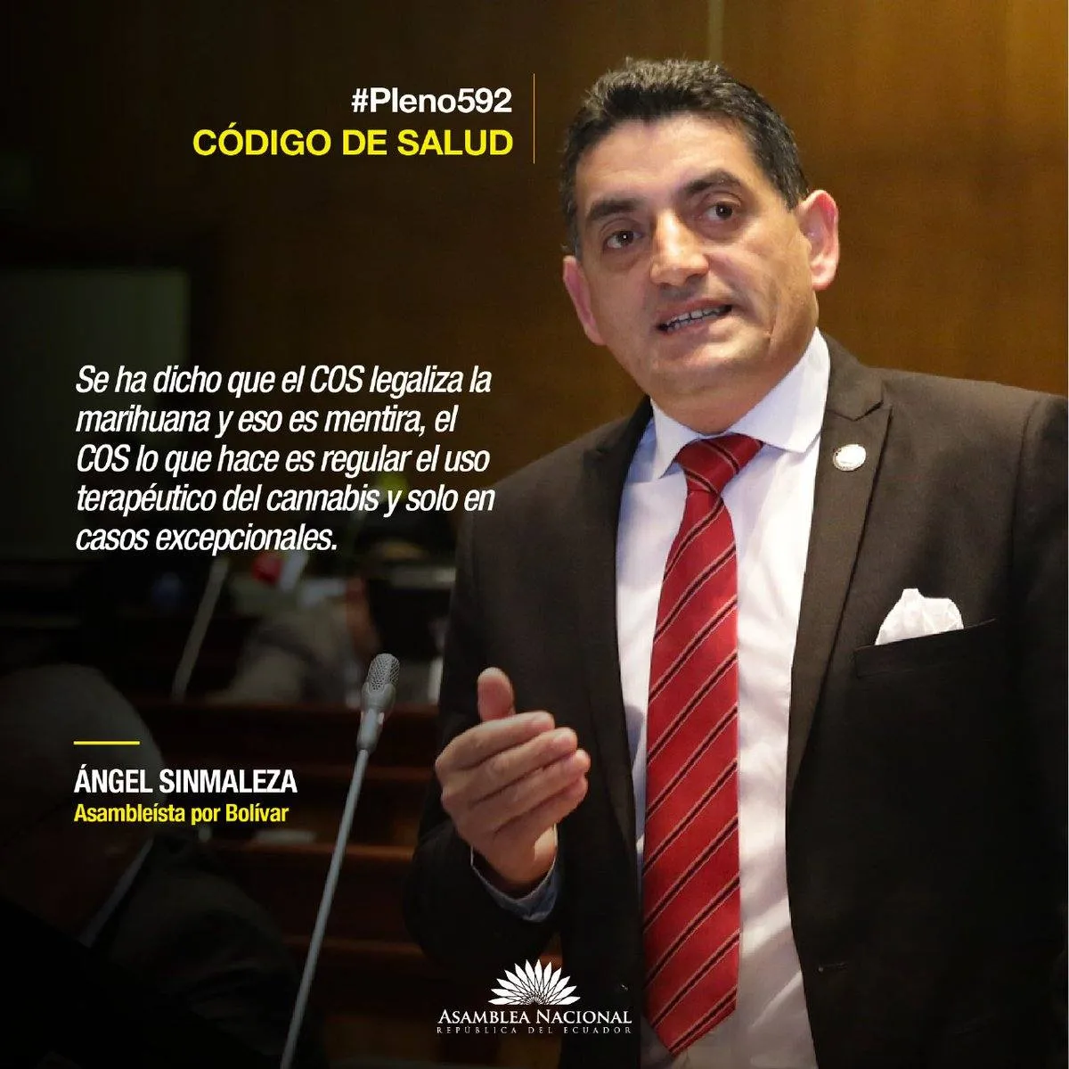 angel sinmaleza