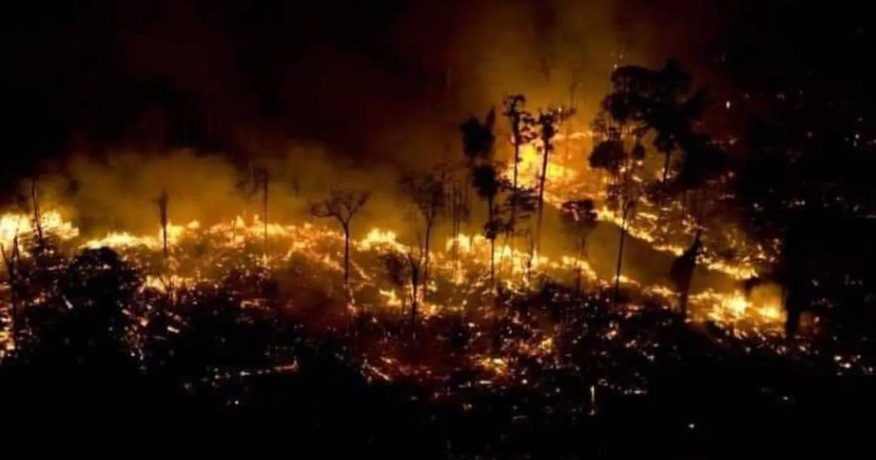 imagen2