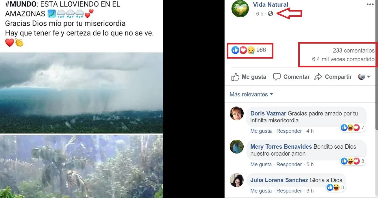 llueve en el amazonas