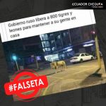 WhatsApp Image 2020-03-23 at 15.53.21