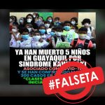 FalsoKawasaki-1024×1024-1