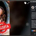 formato