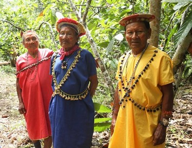 Para los pueblos indígenas amazónicos, la COVID-19 significa el riesgo de desaparecer