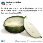 falseta cura zambo