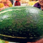 zambo cura covid destacado