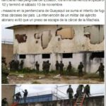 WhatsApp Image 2021-11-17 at 8.42.32 AM