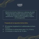 informe de minoría
