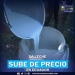 leche-precio