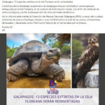tortugas-galapagos