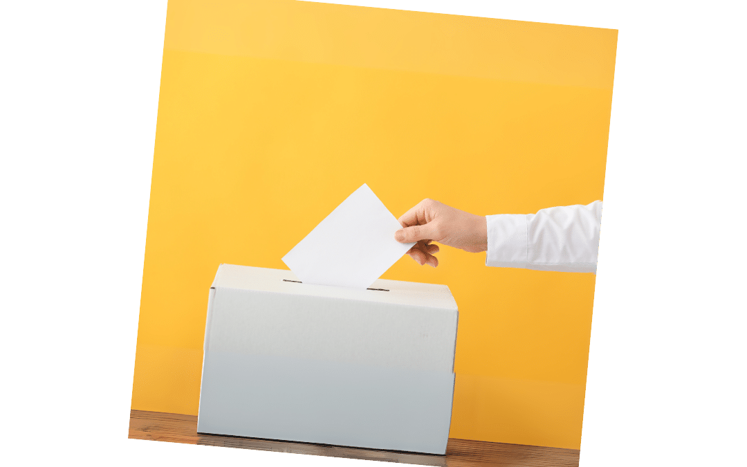 CONSULTA 2024-Guía para un voto informado
