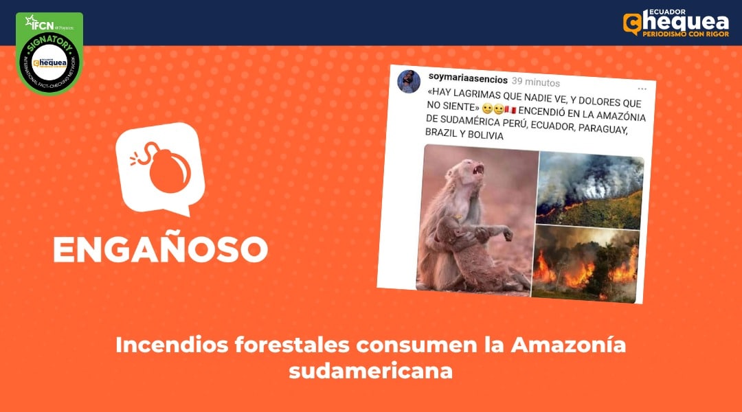 Incendios forestales consumen la Amazonía sudamericana