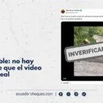 No se puede comprobar si video de perrito es real o no