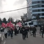 elguambra