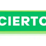 CIERTO NUEVO OK