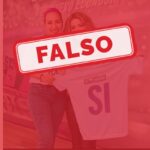 Notas web verificaciones shakira