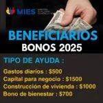WhatsApp Image 2025-11-21 at 1.54.38 PM-min