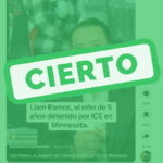 Notas web verificaciones