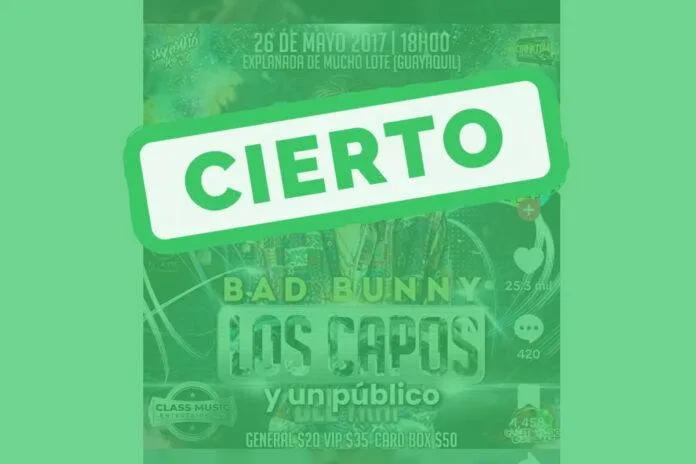 Bad Bunny