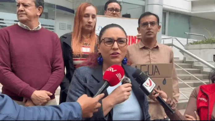 Reforma minera