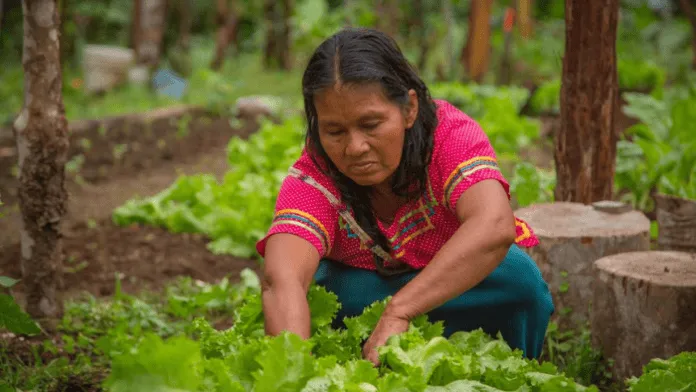 mujeres