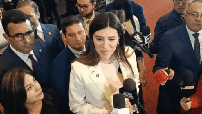 fiscalizar