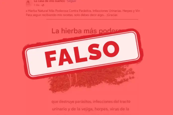 tomillo parásitos