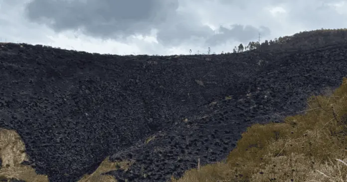 incendio del cerro Casitagua